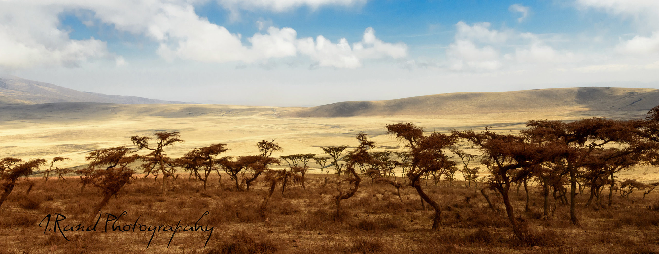 Serengeti, Tanzania Africa